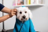 Grooming